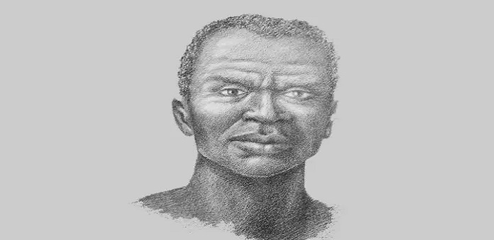 Consciência Negra e não humana