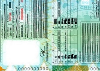 Brasil terá nova carteira de motorista em 2022
