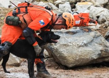 Cães dos bombeiros do RJ conquistam certificados