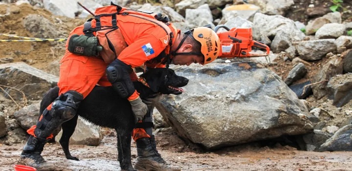 Cães dos bombeiros do RJ conquistam certificados