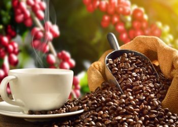 Associação Brasileira da Indústria do Café (Abic) projeta alta de 10% a 15% no preço do café para os supermercados. Entenda os motivos, o impacto no consumo e o cenário de incertezas com as tarifas dos EUA.