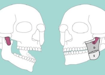 Nova parte do corpo humano é descoberta por cientistas suíços