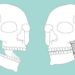 Nova parte do corpo humano é descoberta por cientistas suíços