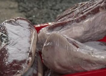 Dois criminosos foram presos em flagrante depois de roubarem mais de 100 kg de picanha avaliadas em cerca de R$ 30 mil de um açougue no Centro de São Paulo