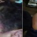 Um lutador de Muay Thai foi preso em Chapadão do Sul, no Mato Grosso do Sul, após espancar o enteado de apenas 5 anos de idade.