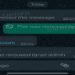 O WhatsApp começou a desenvolver nesta semana uma nova interface para a câmera do app e mais privilégios para administradores de grupos do aplicativo.