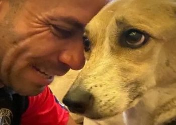 Após 45 dias de buscas, a cachorra Pandora, desaparecida após fugir da caixa de transporte levada em um voo da Gol no Aeroporto de Guarulhos (SP), foi encontradA