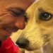 Após 45 dias de buscas, a cachorra Pandora, desaparecida após fugir da caixa de transporte levada em um voo da Gol no Aeroporto de Guarulhos (SP), foi encontradA