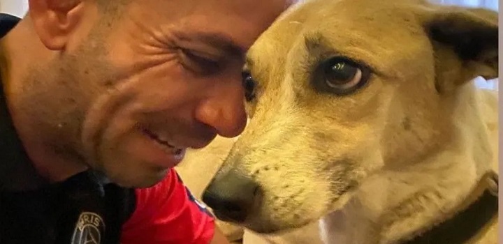 Após 45 dias de buscas, a cachorra Pandora, desaparecida após fugir da caixa de transporte levada em um voo da Gol no Aeroporto de Guarulhos (SP), foi encontradA