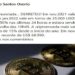 Um professor da Unicamp voltou a atacar o Bitcoin, dizendo que a moeda está com a morte anunciada, após a nova queda de preço.