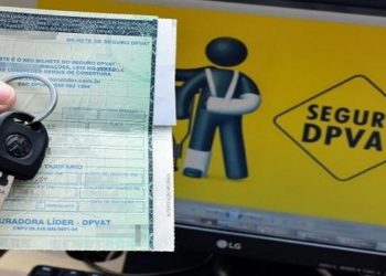 NOVO SEGURO DPVAT