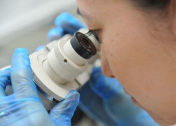 Superbactérias: resistência aos antibióticos é uma ameaça