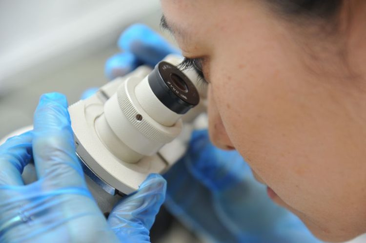 Superbactérias: resistência aos antibióticos é uma ameaça
