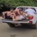 ma menina de 8 anos foi atacada por um tubarão no arquipélago de Fernando de Noronha.