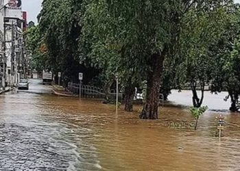 Diante das chuvas intensas registradas ao longo do fim de semana, cidades do Norte e do Noroeste do Rio, como Itaperuna, Natividade, Porciúncula, Bom Jesus do Itabapoana, Itaocara, Italva e Laje do Muriaé, Cambuci e Santo Antônio de Pádua, enfrentam alagamentos pontuais por conta do transbordamento dos rios Muriaé, Carangola, Itabapoana e Pomba.