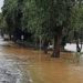 Diante das chuvas intensas registradas ao longo do fim de semana, cidades do Norte e do Noroeste do Rio, como Itaperuna, Natividade, Porciúncula, Bom Jesus do Itabapoana, Itaocara, Italva e Laje do Muriaé, Cambuci e Santo Antônio de Pádua, enfrentam alagamentos pontuais por conta do transbordamento dos rios Muriaé, Carangola, Itabapoana e Pomba.