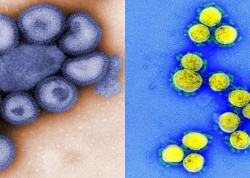 RJ, SP e Ceará têm pacientes com testes positivos para Covid e Influenza ao mesmo tempo