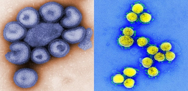 RJ, SP e Ceará têm pacientes com testes positivos para Covid e Influenza ao mesmo tempo
