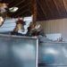 Polícia Federal prende dois homens e apreende 15 girafas em resort no Rio de Janeiro Segundo investigadores, animais eram vítimas de maus-tratos. Local é o mesmo onde 3 girafas morreram no ano passado