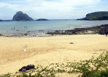 mÉDICO FALA SOBRE CRIANÇA ATACADA POR TUBARÃO EM FERNANDO DE NORONHA