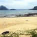 mÉDICO FALA SOBRE CRIANÇA ATACADA POR TUBARÃO EM FERNANDO DE NORONHA