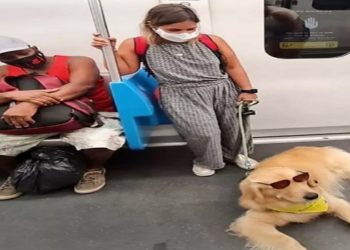 PESSOAS COM TRANSTORNOS PSICOLOGICOS PODEM PORTAR CÃES EM ESPAÇOS PÚBLICOS