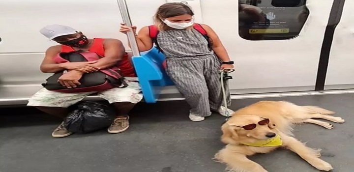 PESSOAS COM TRANSTORNOS PSICOLOGICOS PODEM PORTAR CÃES EM ESPAÇOS PÚBLICOS