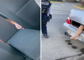 a jovem canadense descobriu um homem pelado morando no porta-malas de seu carro