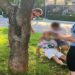Foto de palmeirense morto a socos após final do mundial
