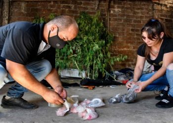 Argentina investiga mortes apos uso de cocaina