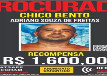 O Disque-Denúncia oferece uma recompensa de R$ 1,6 mil para quem oferecer informações que levem à prisão de Chico Bento. — Foto: Divulgação