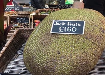 Jaca custa mais de 1000 reais na Inglaterra