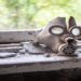 radiação em chernobyl aumenta após invasão da Rússia