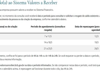 (Novo site do Sistema de Valores a Receber (Foto: Reprodução)