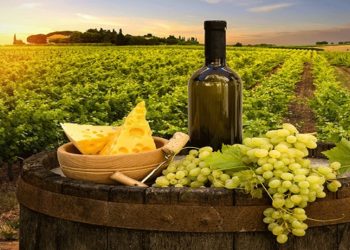 Tendencias de vinho em 2022