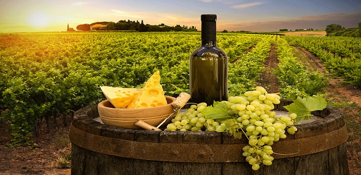 Tendencias de vinho em 2022