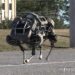 Corpo de Bombeiros da cidade de Nova York deverá usar os cães robôs Spot da Boston Dynamics para missões de busca e resgate em condições extremas, como em ocorrências de incêndio