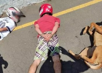 Cão deita ao lado de suspeitos durante abordagem policial no Paraná, e foto viraliza
