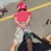 Cão deita ao lado de suspeitos durante abordagem policial no Paraná, e foto viraliza