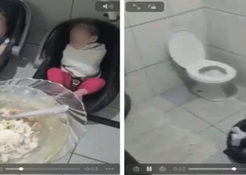 escola colmeia magica maus tratos a crianças