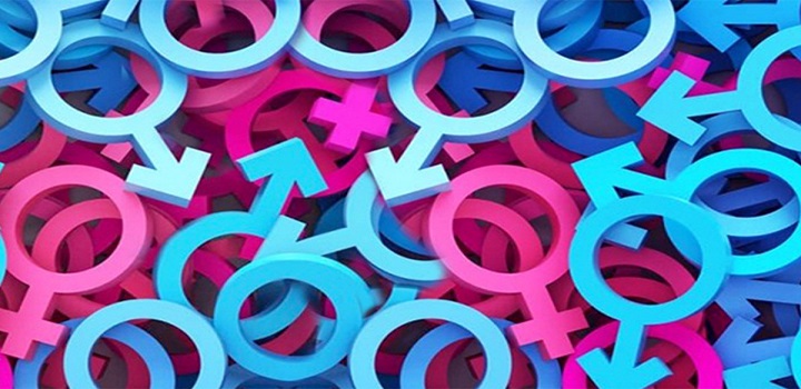 O Instituto Brasileiro de Geografia e Estatística (IBGE) decidiu fazer uma divulgação inédita de dados sobre orientação sexual da população brasileira.