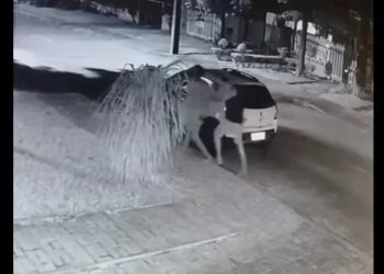 Um homem espancou um morador de rua em Planaltina, no Distrito Federal, após flagrar a própria esposa mantendo relações sexuais com ele.