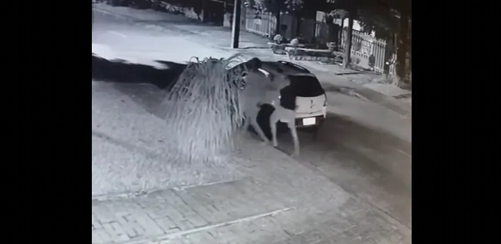 Um homem espancou um morador de rua em Planaltina, no Distrito Federal, após flagrar a própria esposa mantendo relações sexuais com ele.