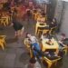 Em Porto Alegre, homem é ‘atacado’ por barata em bar e vídeo viraliza na internet