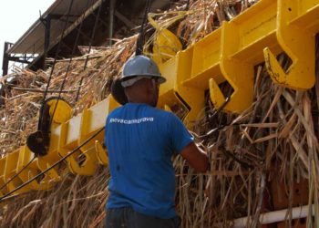 Usina Nova Canabrava entra em Recuperação Judicial