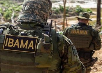 Ibama, concurso 2022
