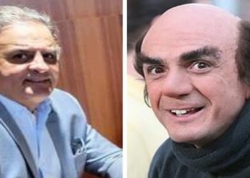 Memes de Aécio Neves, Gargamel, Pinguim