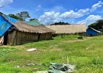 Garimpeiros estupram e matam menina ianomami de 12 anos