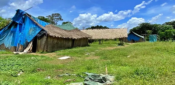 Garimpeiros estupram e matam menina ianomami de 12 anos