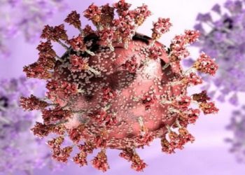 OMICRON XE: VARIANTE MAIS CONTAGIOSA DO CORONAVIRUS